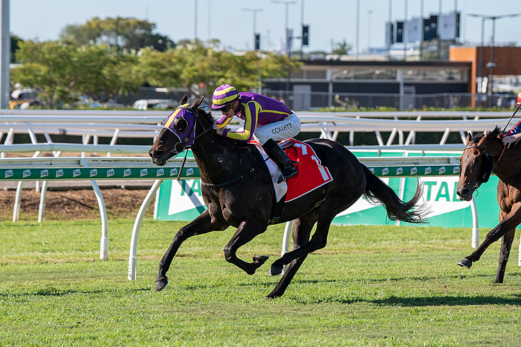 KISS SUM winning the Channel 7 Gunsynd Classic