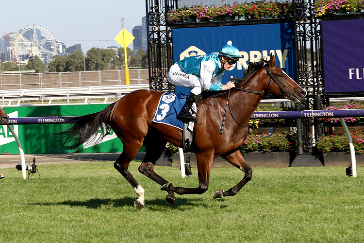 KISSONALLFORCHEEKS winning the Furphy Shaftesbury Avenue Hcp