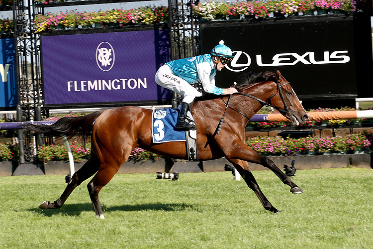 KISSONALLFORCHEEKS winning the Furphy Shaftesbury Avenue Hcp