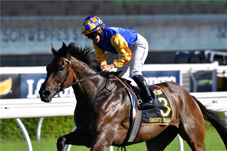 KNIGHTS ORDER winning the Schweppes Sydney Cup at Randwick in Australia.