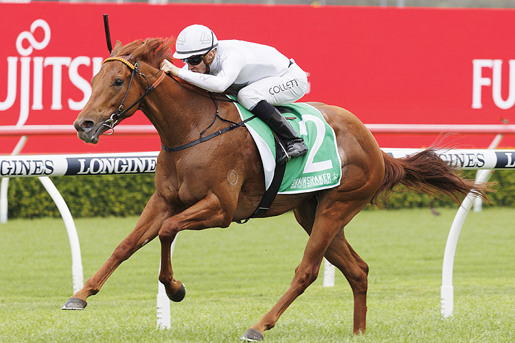 KOTE winning the GRAINSHAKER BRIAN CROWLEY STAKES