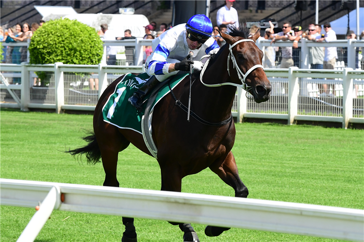 KOVALICA winning the ASCOT GREEN GRAND PRIX STAKES