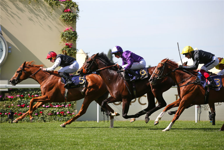 KYPRIOS winning the Gold Cup at Royal Ascot in England.