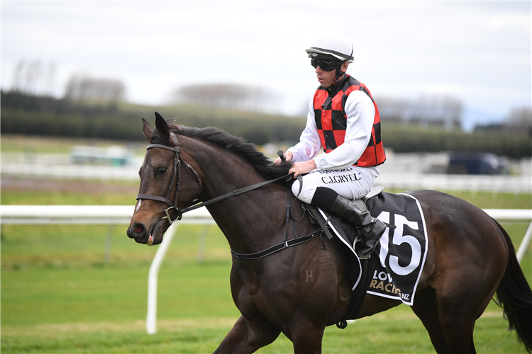 La Crique won her trial at Taupo on Wednesday.