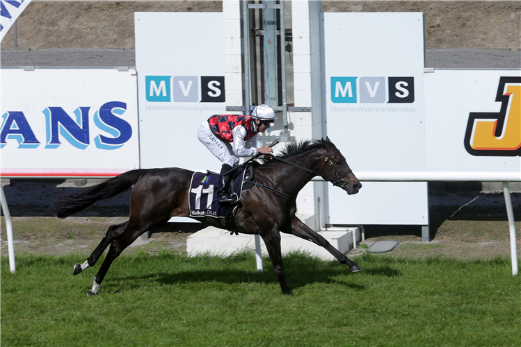 LA CRIQUE winning the ARROWFIELD STUD PLATE