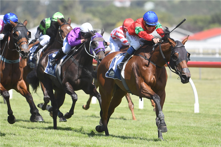 LA FLORA BELLE winning the STEELFORM ROOFING GROUP WANGANUI CUP 2040