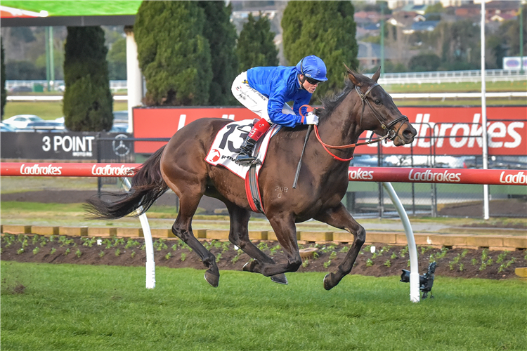 LACKEEN winning the Ranvet Travis Harrison Cup at Moonee Valley in Australia.