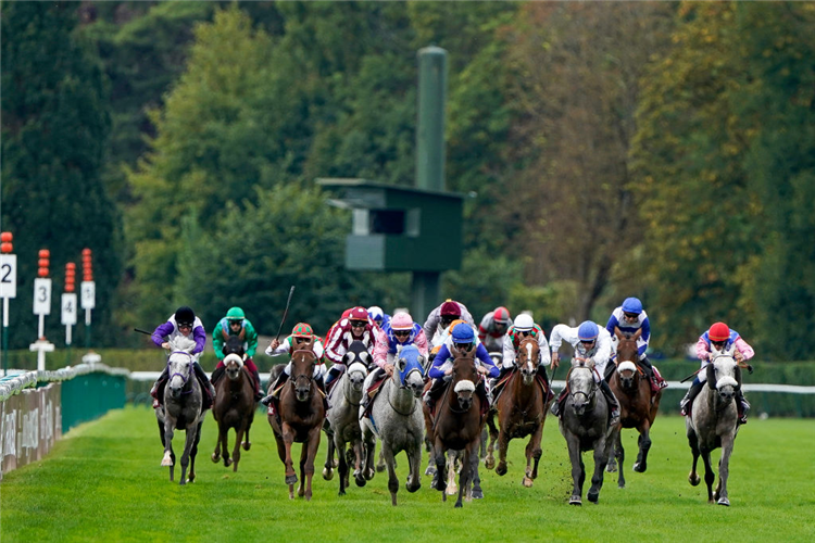 LADY PRINCESS (C, blue cap) winning the Arabian World Cup at Hippodrome de ParisLongchamp in Paris, France.