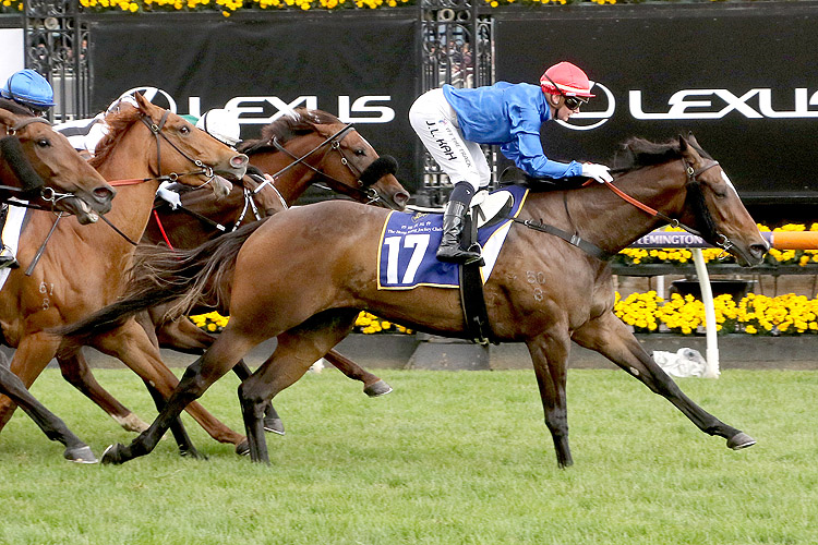 LARKSPUR RUN winning the The Hong Kong Jockey Club Stakes