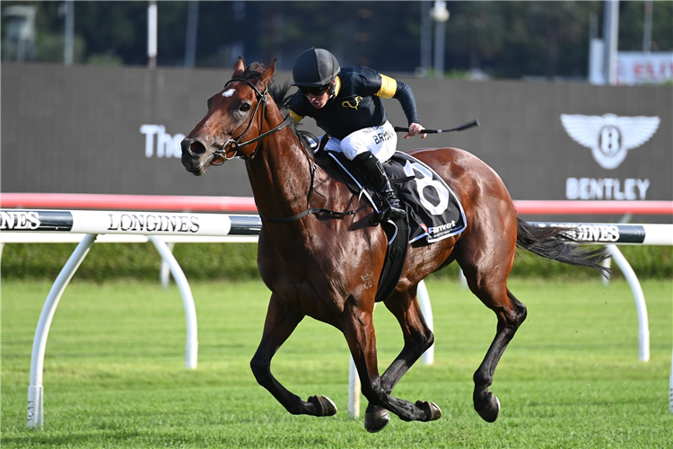 LE LUDE winning the Aspiration Qlty at Randwick in Australia.