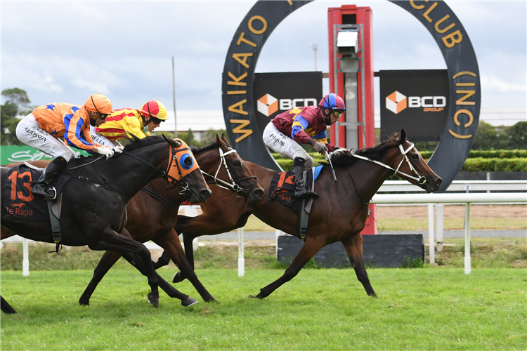 LE VILLI winning the Pak'nsave Clarence St Spec Mdn