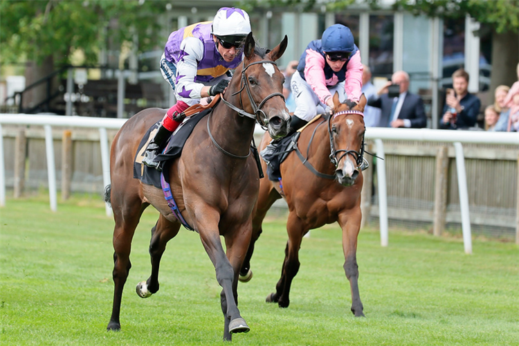 LEZOO winning the Maureen Brittain Memorial Empress Fillies' Stakes (Listed)