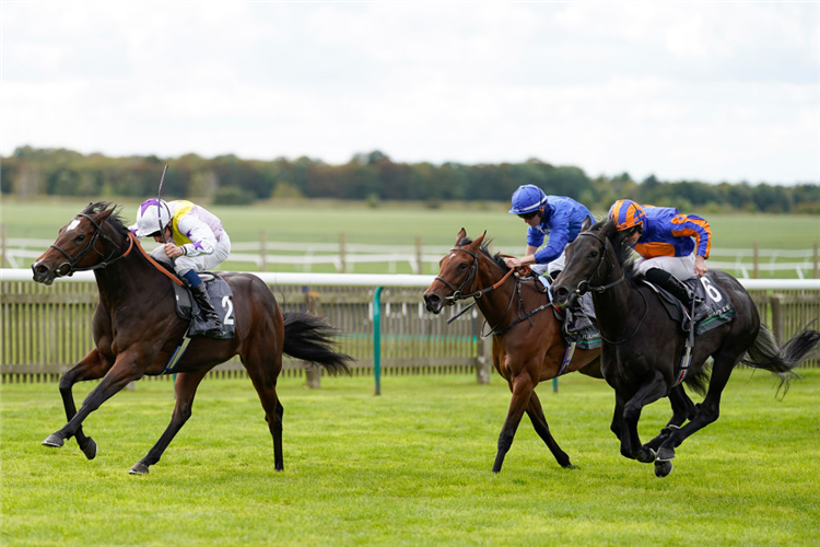 LEZOO winning the Cheveley Park Stakes at Newmarket in England.