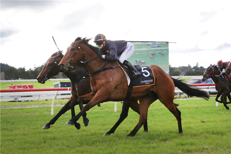 LICKETY SPLIT winning the Northland Breeders Stakes