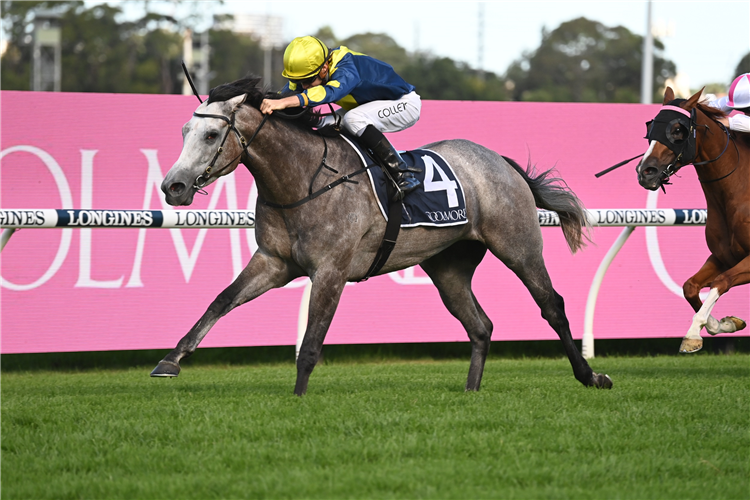 LIGHTHOUSE winning the Coolmore Classic at Rosehill in Australia.