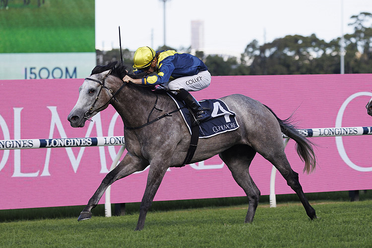 LIGHTHOUSE winning the Coolmore Classic