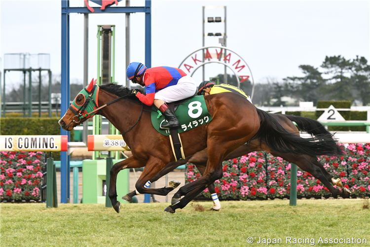 LILAC winning the Fairy Stakes at Nakayama in Japan.