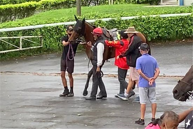 Jockey Danny Beasley gets ready to hop onto Lim's Lightning with the help of trainer Daniel Meagher before the third trial on Thursday morning. Racing manager of Lim's Stable, Mick Dittman (in blue top) looks on.