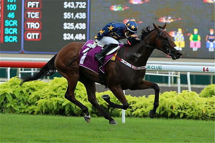 LIM'S LIGHTNING winning the KRANJI MILE INTL GROUP 3