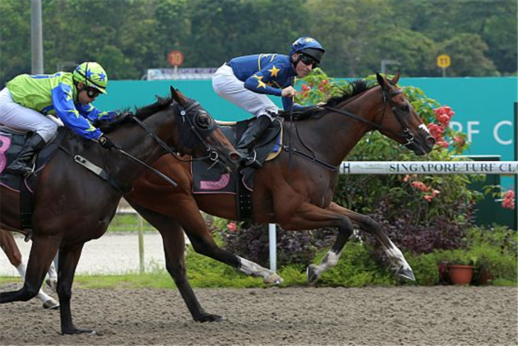 LIM'S ZOOM winning the CLASS 5