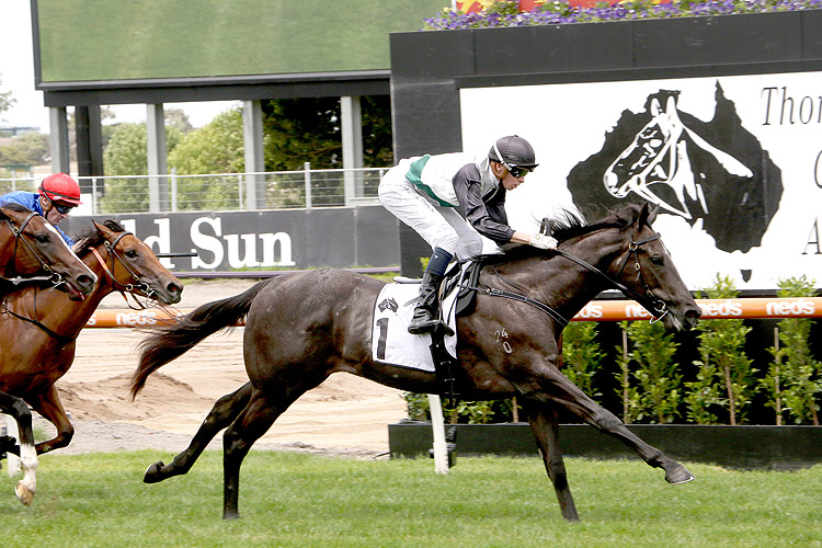 LITTLE BROSE winning the Thoroughbred Club Merson Cooper Stakes