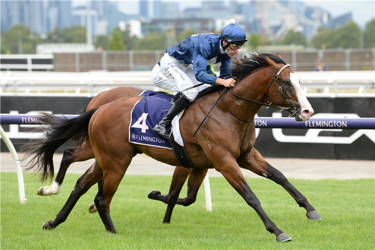 LOFTY STRIKE winning the Resimax Group at Flemington in Australia.