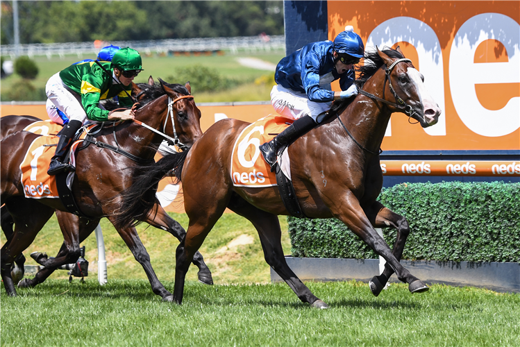 LOFTY STRIKE winning the Blue Diamond Prelude-C&G at Caulfield in Australia.