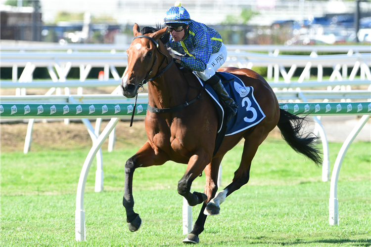 LONDON BANKER winning the Tattersall's Cup