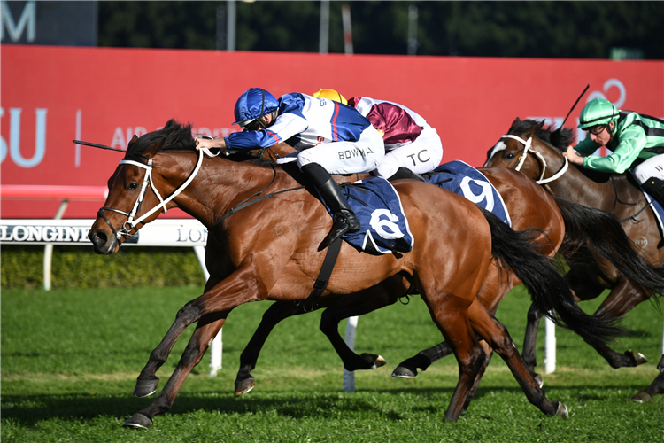 LORD ARDMORE winning the Recovery Partners Cup Prelude at Randwick in Australia.