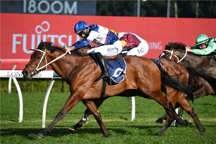 LORD ARDMORE winning the Recovery Partners Cup Prelude at Randwick in Australia.