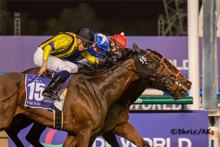 LORD NORTH winning the Dubai Turf Sponsored By DP World