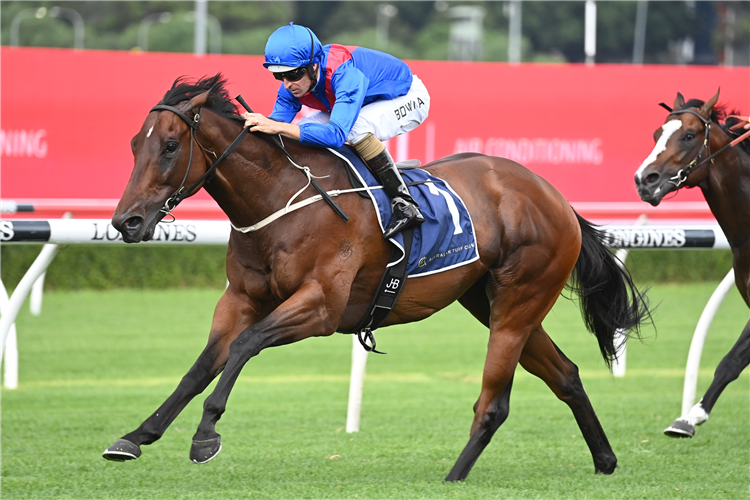 LOST AND RUNNING winning the Southern Cross Stakes.