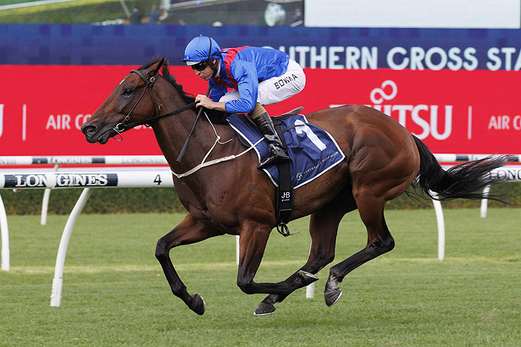 LOST AND RUNNING winning the Southern Cross Stakes