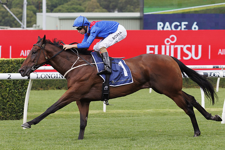 LOST AND RUNNING winning the Southern Cross Stakes