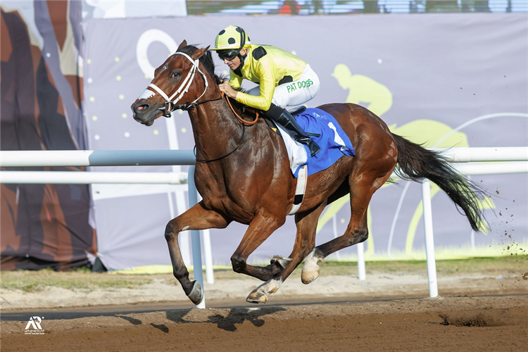 LOST EDEN winning the Jebel Ali Stakes Prep