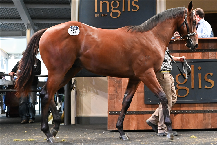 The brother to Estijaab who sold for $2.25m on Day 2 at Inglis Easter.