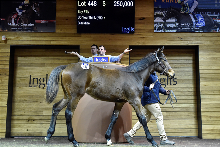 Day 2’s top lot, Rushton Park’s $250,000 So You Think filly.