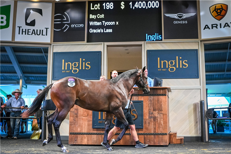 Coolmore’s second $1.4m buy of Day 1 Easter, the half-brother to Artorius.