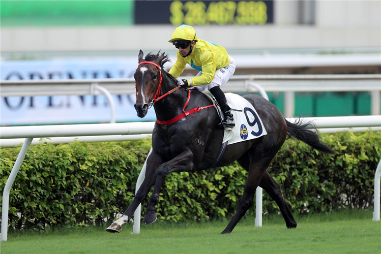 LUCKY SWEYNESSE winning the THE HKSAR CHIEF EXECUTIVE'S CUP (HANDICAP)
