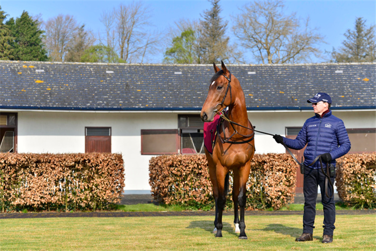 LUXEMBOURG pictured with trainer Aidan O'Brien.
