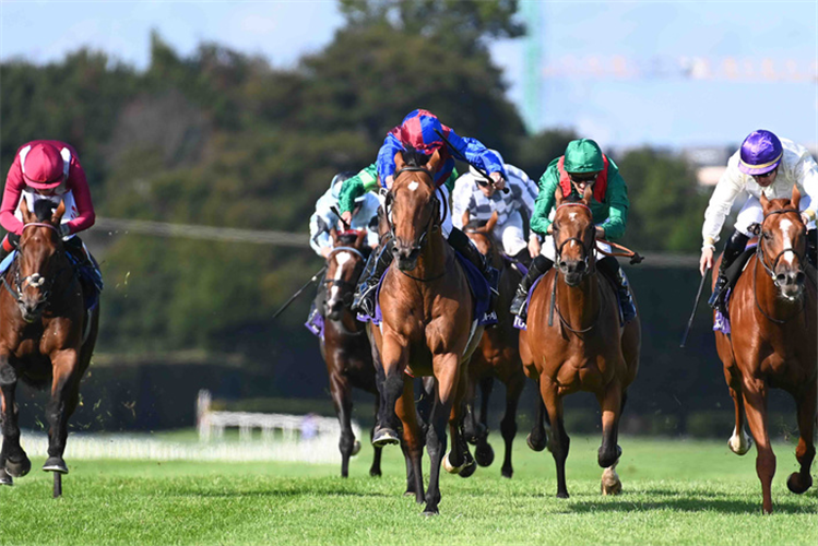 LUXEMBOURG (right) winning the Irish Champion Stakes (Group 1)