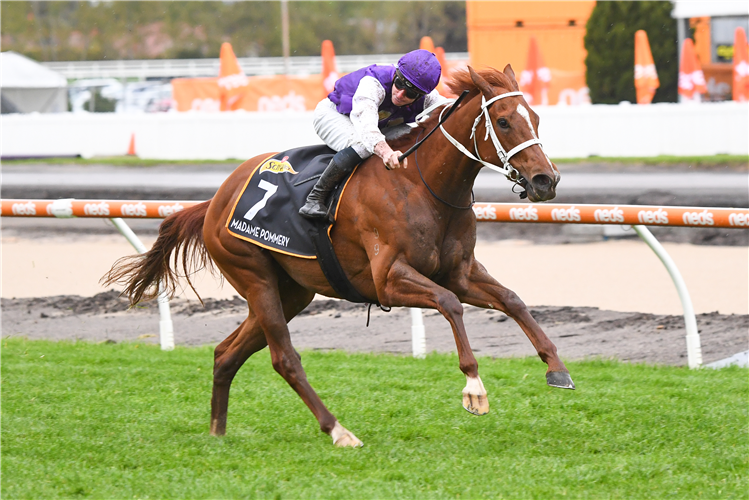 MADAME POMMERY winning the Thousand Guineas in Caulfield, Australia.