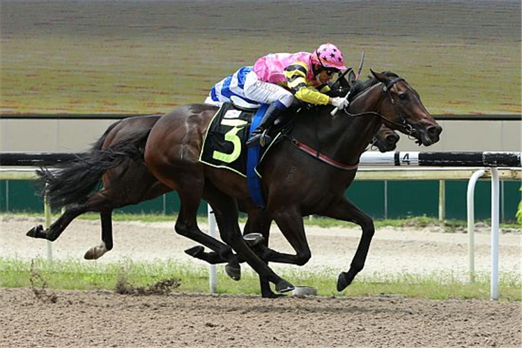 MAJOR KING winning the RESTRICTED MAIDEN
