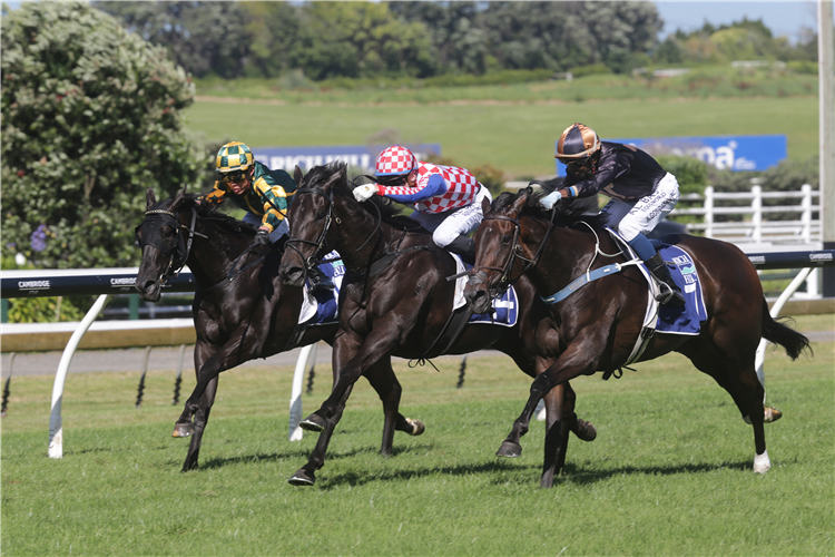 Mali Ston (middle) fights out a nail-biting finish with Mai Tai (right) to the Gr.2 Rich Hill Mile (1600m) at Ellerslie