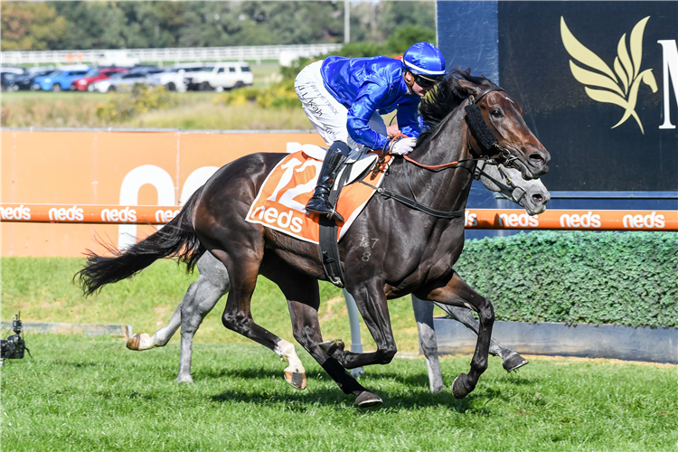 MAMOUNIA winning the Elvis Thurgood Galilee Final at Caulfield in Australia.