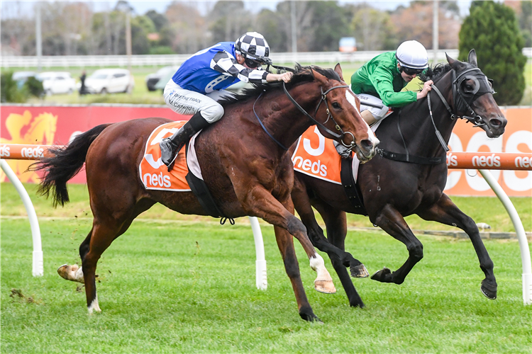 MANKAYAN (blue silks) winning the Take It To Neds Level Hcp at Caulfield in Australia.