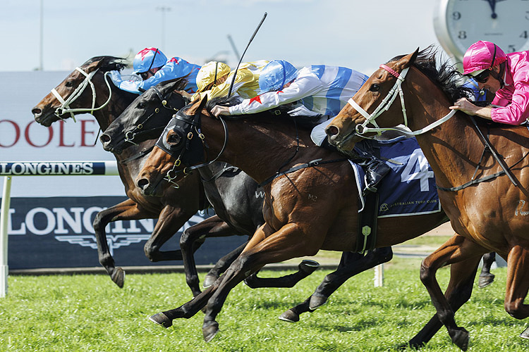 Horse Racing Today Racing News New Zealand Racing and Sports