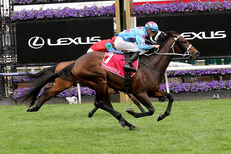 MANZOICE winning the Penfolds Victoria Derby