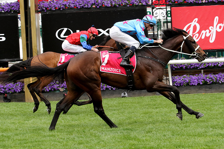 MANZOICE winning the Penfolds Victoria Derby