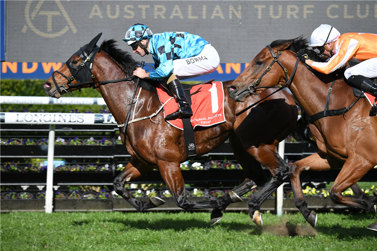 MAOTAI winning the Nsw Jockeys Reunion (Bm78) at Randwick in Australia.